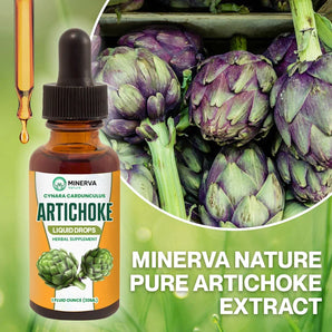 Minerva Nature Pure Artichoke Extract – Natural Health Protection