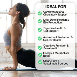 Minerva Nature Pure Artichoke Extract – Natural Health Protection