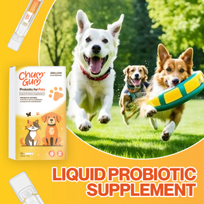 Chumgum DIA30 Liquid Probiotic Supplement | Powerful Digestive & Immune Boost for Pets