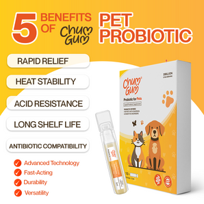 Chumgum DIA30 Liquid Probiotic Supplement | Powerful Digestive & Immune Boost for Pets